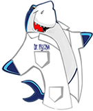 logo Dr Piscina